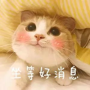 【经济日报】快过年了，猪价会涨吗？供应有保障吗？答案在这