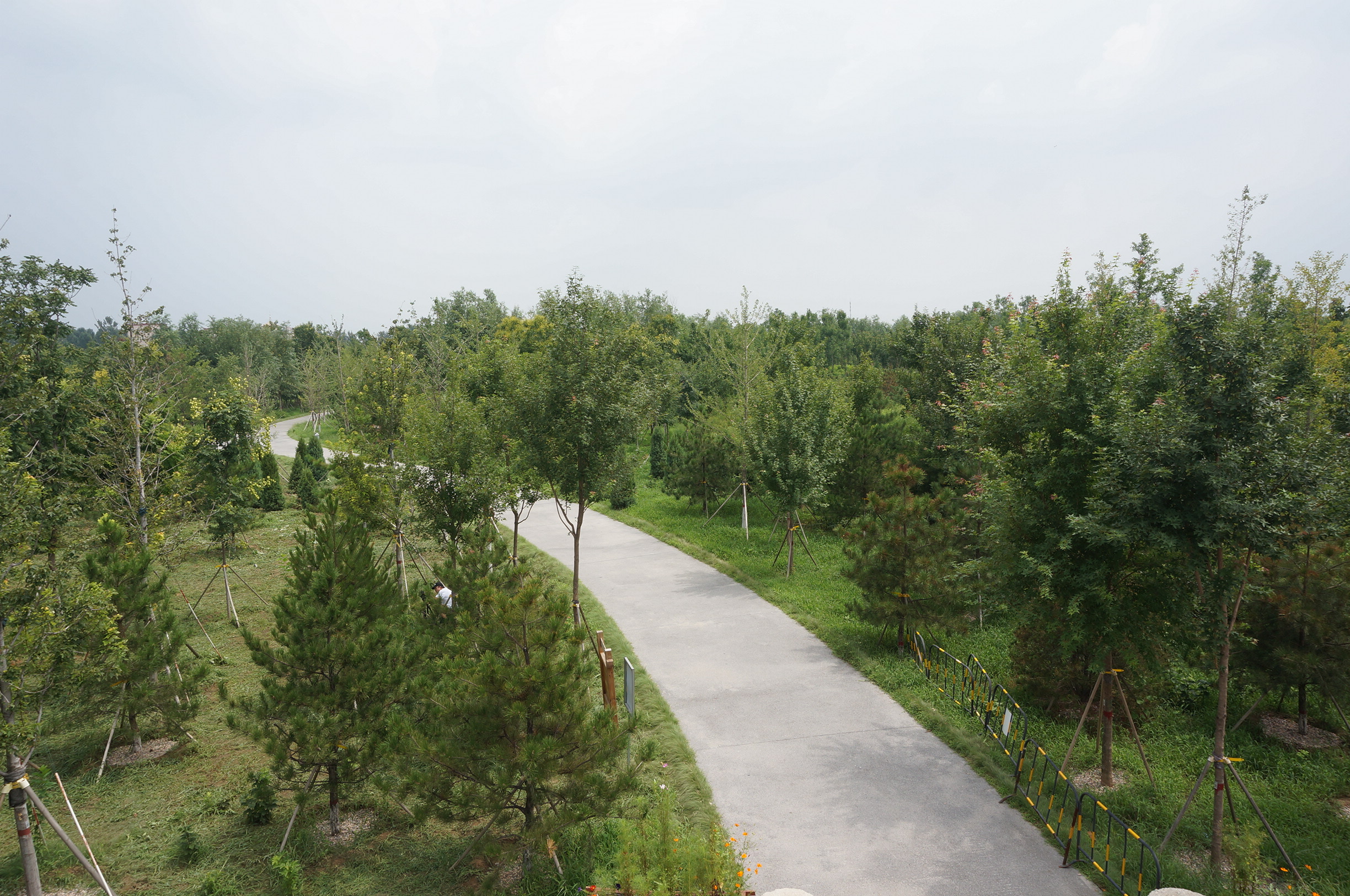 「央视网」他们见证了速度中国里的“慢”雄安