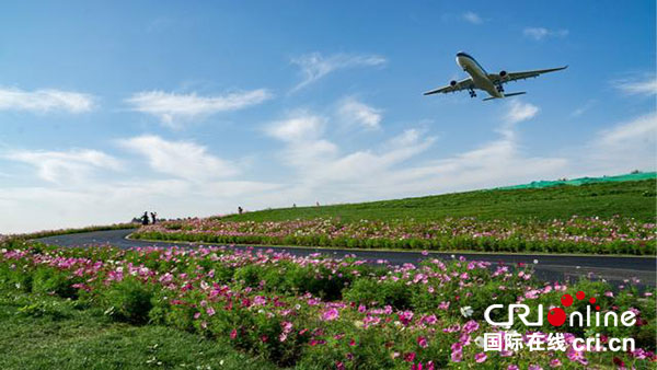 图片默认标题_fororder_1