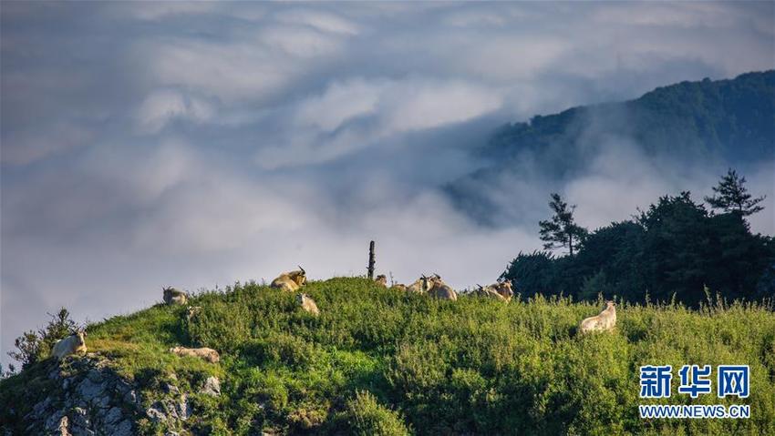 图片默认标题 图片默认标题_fororder_陕西4