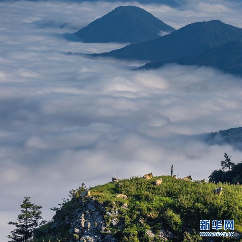 图片默认标题 图片默认标题_fororder_陕西1