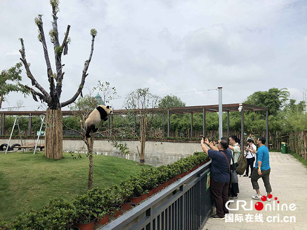 图片默认标题_fororder_2