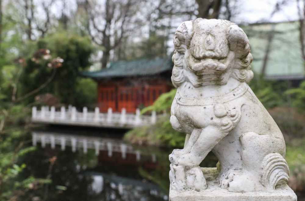 新华社：好朋友，一起走——2019年中外民心相通故事