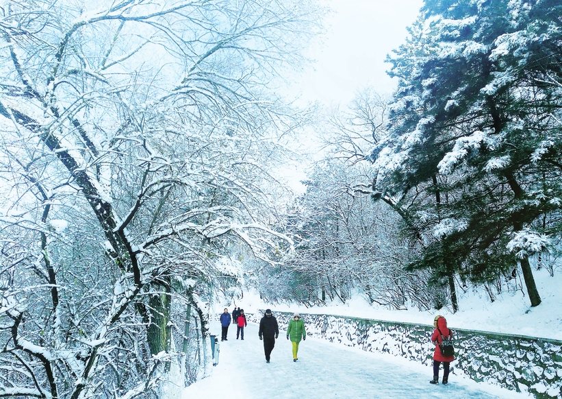 雪后辽源市龙山公园：冰霜弥漫满眼花 最是美景耀繁华