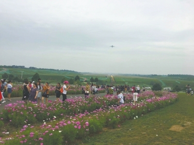 （今日热点2，导航成都，移动端）机场二跑道成网红"打卡地" 低头闻花香伸手"摸"飞机