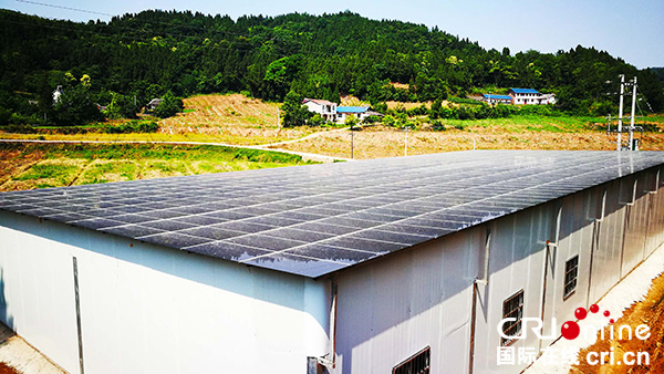 通稿（导航资阳）资阳市安岳长河源镇因地制宜发展优势产业助推乡村振兴