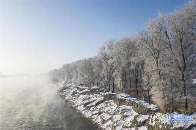 图片默认标题_fororder_138636549_15765409323041n