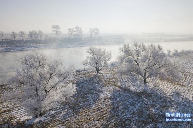 图片默认标题_fororder_138636549_15765409323441n