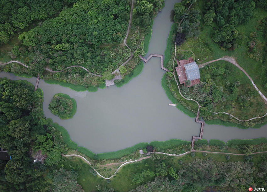 （导航成都，移动端）骑行绿道 沐浴花海 竹编扎染…… 端午耍成都 快收好这份绿色攻略