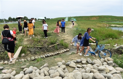 （今日热点2，导航成都，移动端）随意踩踏、垃圾满地…成都新晋网红地空港花田紧急封闭