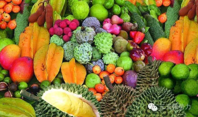 （导航攀枝花，移动端）攀枝花：四川的三亚 中国的普罗旺斯