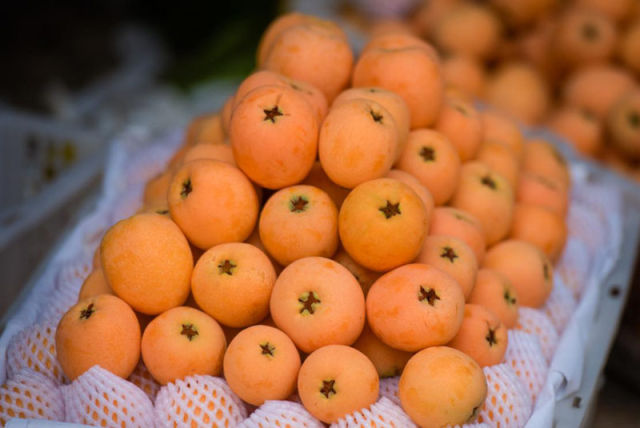 （导航攀枝花，移动端）攀枝花：四川的三亚 中国的普罗旺斯