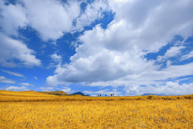 （导航攀枝花，移动端）攀枝花：四川的三亚 中国的普罗旺斯