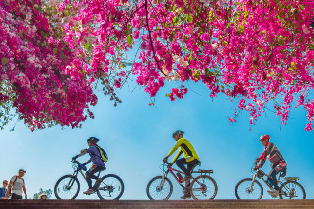 （导航攀枝花，移动端）攀枝花：四川的三亚 中国的普罗旺斯