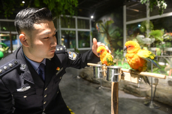 【CRI专稿 列表】“环保民警带你守护‘绿色星球’”法制宣传活动在重庆江北举行