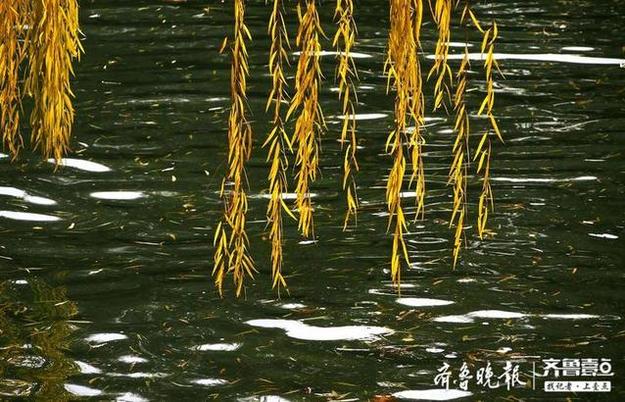 深冬季节大明湖，色彩浓艳犹如画板
