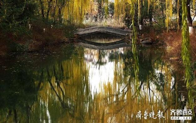 深冬季节大明湖，色彩浓艳犹如画板