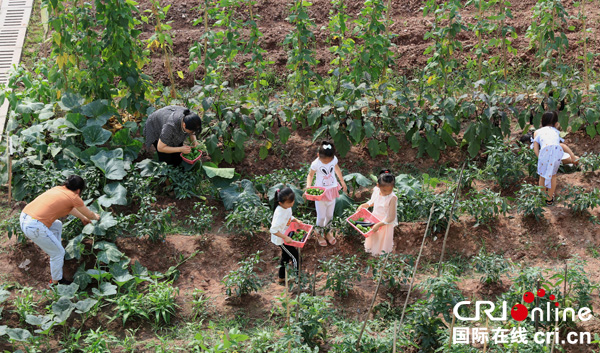 图片默认标题_fororder_孩子们在老师的带领下采摘校园农场里的蔬菜
