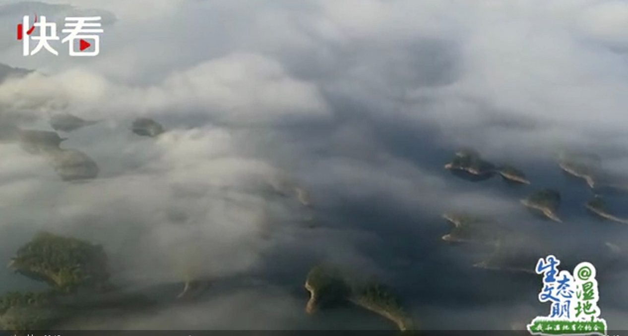 #央视网#【生态文明@湿地】山水江南 诗画浙江——我和浙江有个约