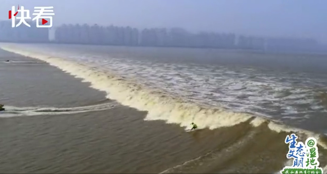 #央视网#【生态文明@湿地】山水江南 诗画浙江——我和浙江有个约