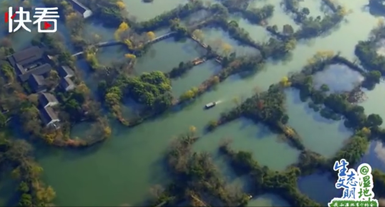 #央视网#【生态文明@湿地】山水江南 诗画浙江——我和浙江有个约