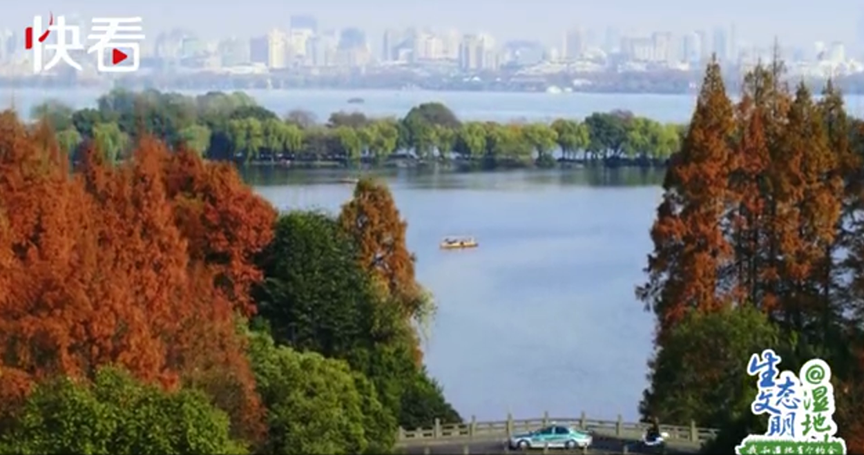 #央视网#【生态文明@湿地】山水江南 诗画浙江——我和浙江有个约