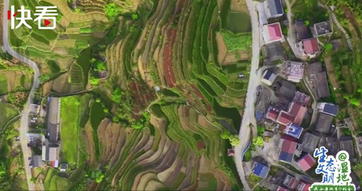 #央视网#【生态文明@湿地】山水江南 诗画浙江——我和浙江有个约