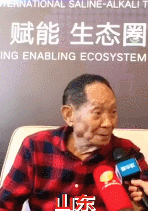 「北京日报」“奇迹、奇迹、奇迹、奇迹啊！”袁隆平这些话，又引