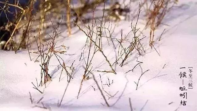 新华社：今日冬至，长夜相思日，岁月正醇时