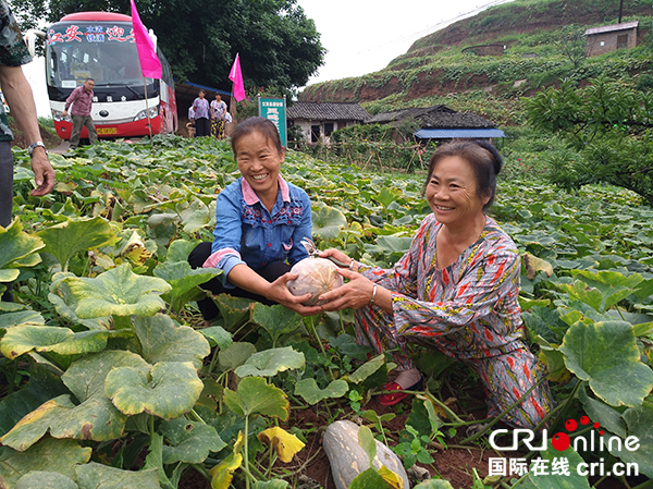 图片默认标题_fororder_正在采摘南瓜的村民露出喜悦笑容--摄影张勇
