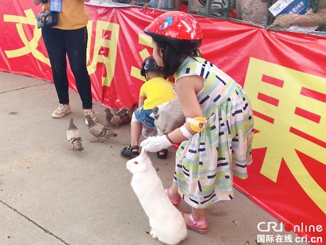 (加急)嘹歌唱响右江边 鸡猪混抓乐翻天 广西平果端午系列活动趣味纷呈 (加急)嘹歌唱响右江边 鸡猪混抓乐翻天 广西平果端午系列活动趣味纷呈