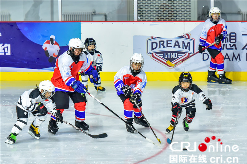 冰球小将闪耀承德冰场 河北省首届冰雪运动会冰球竞赛精彩开战