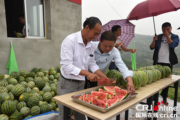 图片默认标题_fororder_刚采摘的西瓜供游客品尝（摄影--徐琴）