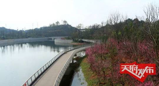 转载（导航成都，移动端）习近平：我去四川调研时，看到天府新区生态环境很好