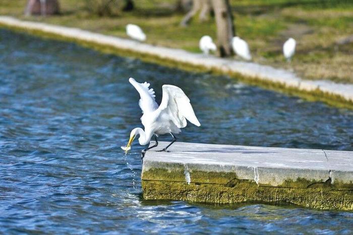 图片默认标题 图片默认标题_fororder_CqgNOl4ADfSAUl-JAAAAAAAAAAA968.851x567