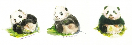 （今日热点3，导航成都，移动端）"85后"陶瓷修复师曹元元：我的眼里只看得到文物