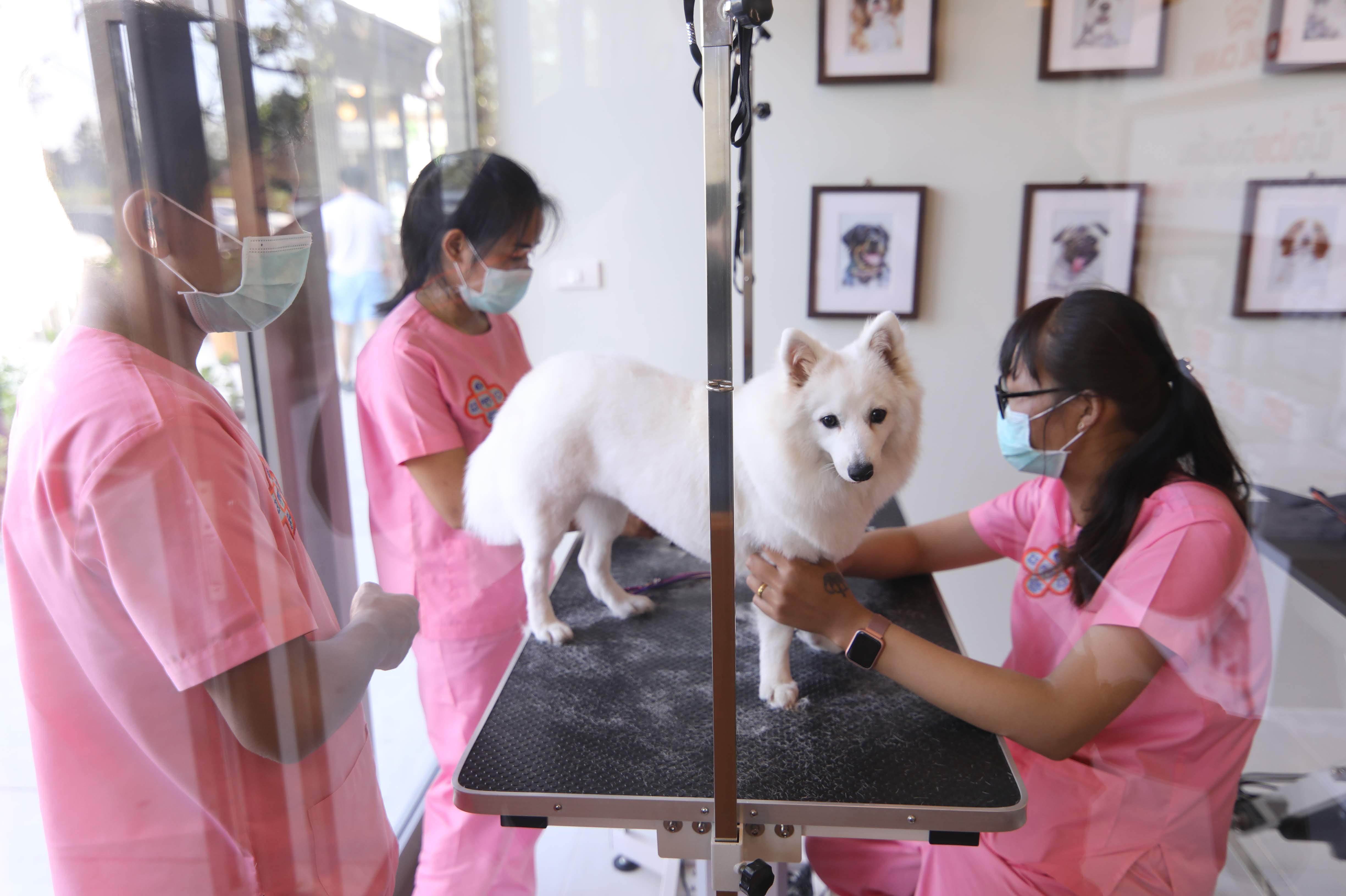 普吉岛全新生活时尚购物中心“Porto de Phuket”盛大开业 普吉岛全新生活时尚购物中心“Porto de Phuket”盛大开业