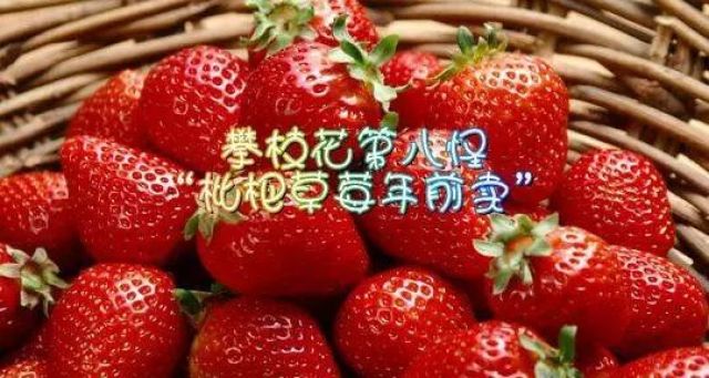 （导航攀枝花，移动端）有人总结出攀枝花“十八怪”，你来看看怪不怪！