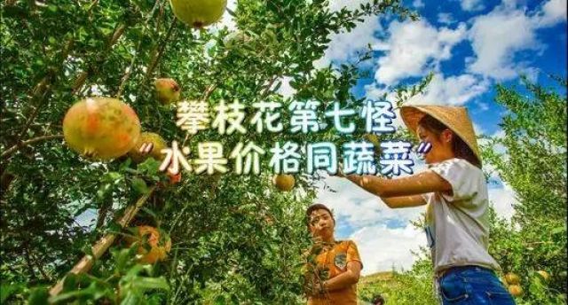 （导航攀枝花，移动端）有人总结出攀枝花“十八怪”，你来看看怪不怪！