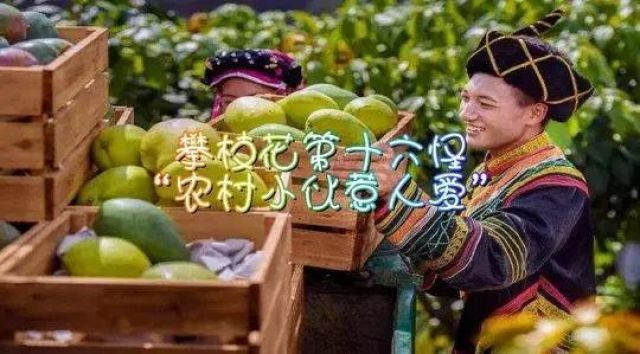 （导航攀枝花，移动端）有人总结出攀枝花“十八怪”，你来看看怪不怪！