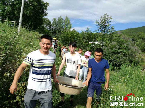 图片默认标题_fororder_1