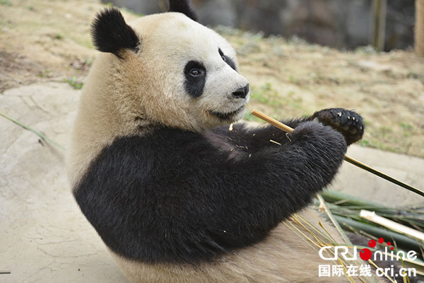 图片默认标题_fororder_1