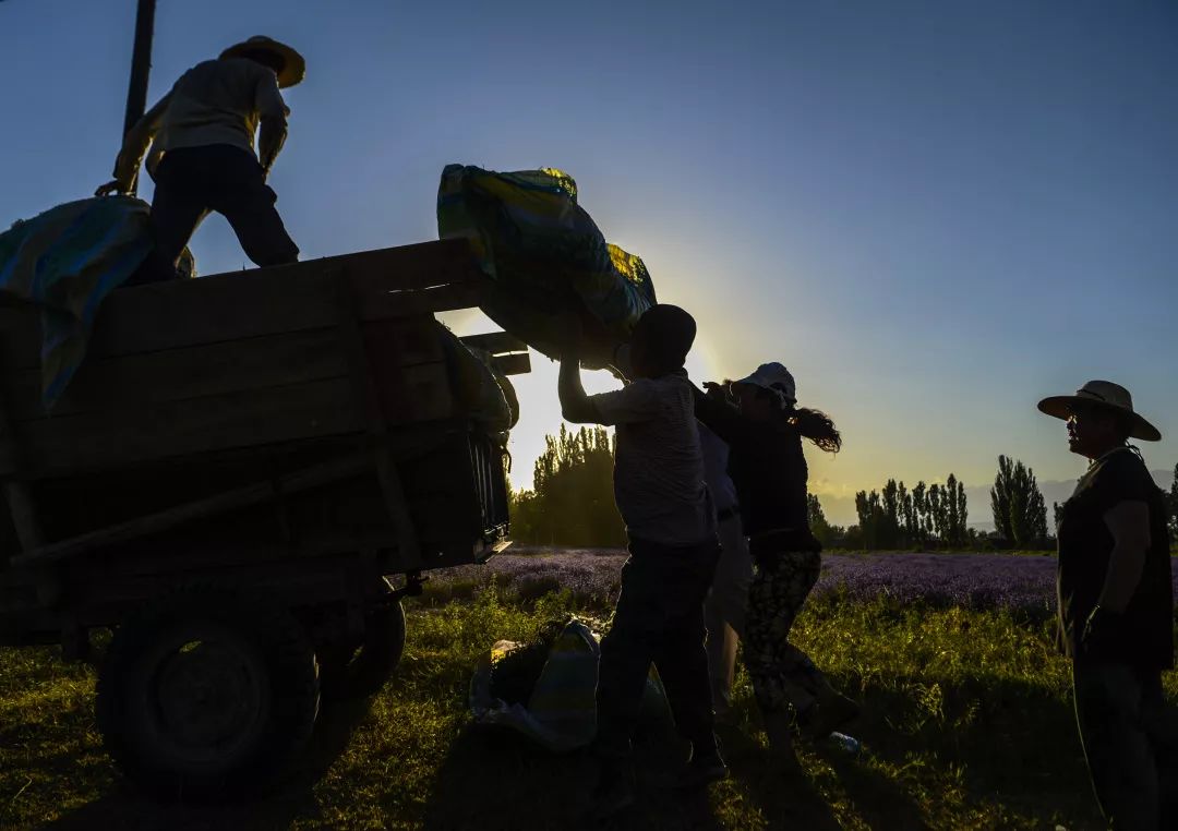「新华网」【年终报道】我们的新时代·字述2019| 拼