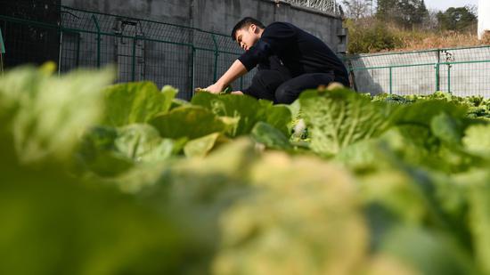 「新华社」大山小站里的坚守