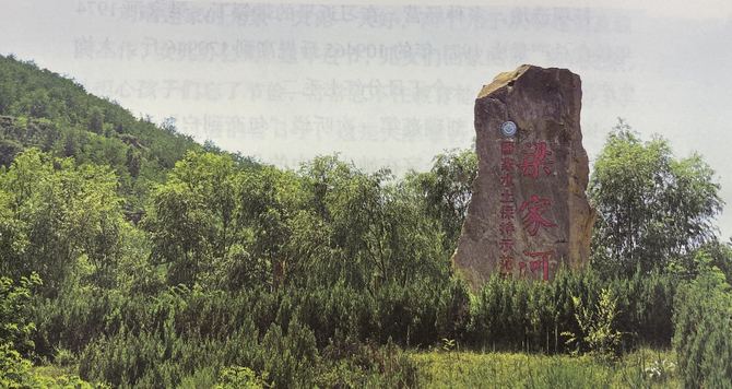 图片默认标题 图片默认标题_fororder_liangjiaheshfsfe112