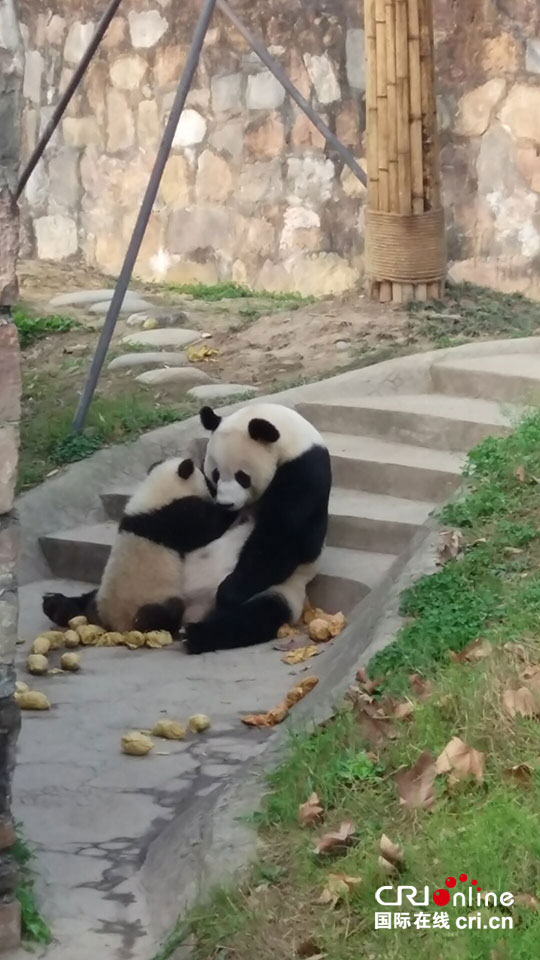 图片默认标题_fororder_7