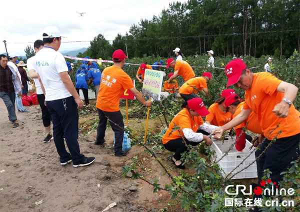 图片默认标题_fororder_000