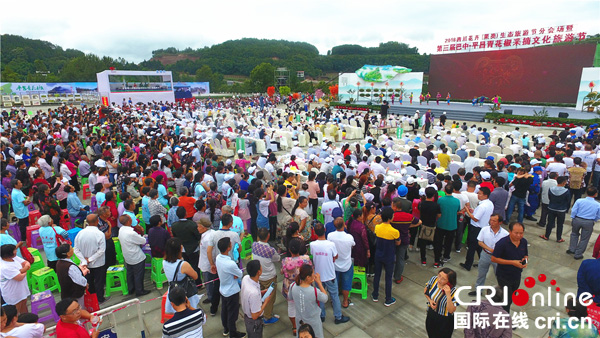 图片默认标题_fororder_开幕式现场（摄影--徐琴）