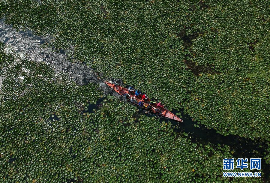 [新华网]2019，精“彩”纷呈