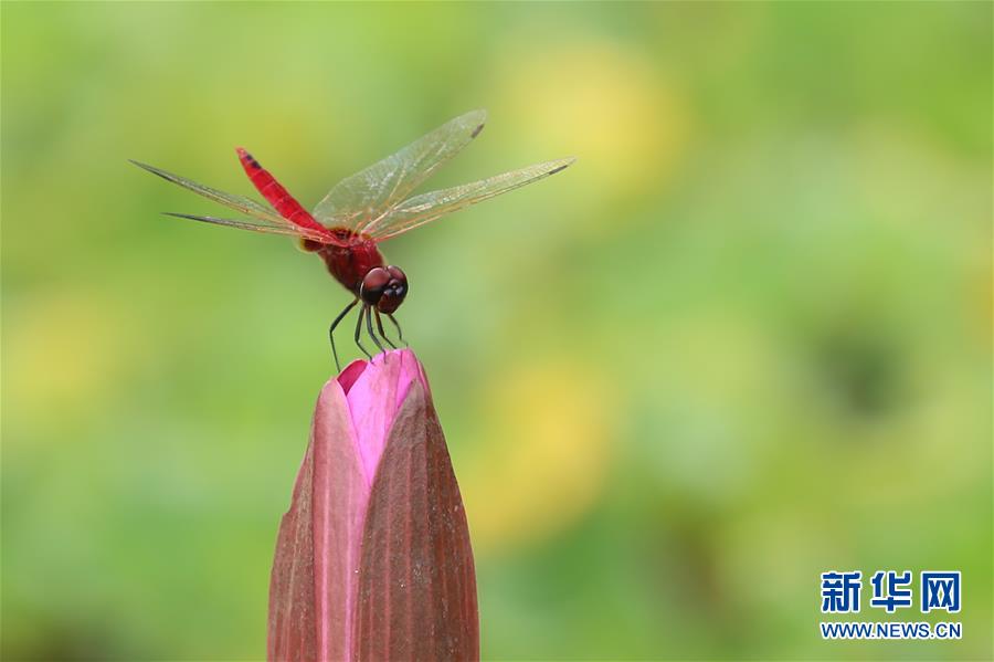 [新华网]2019，精“彩”纷呈